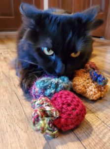 black cat playing with crochet catnip toys