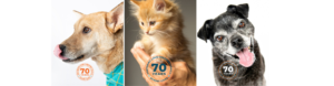Pictures of dogs and a cat with a celebrating 70 years logo